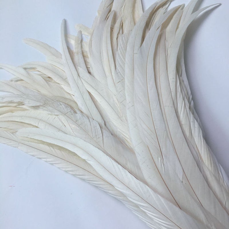 Shekyeon 12-14inch Rooster Tail Feather Used Hats Costume Decoration Pack of 50(Beige/Ivory) - Image 2